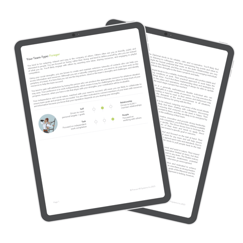 team-fit-report team-fit-report