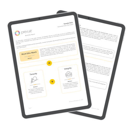 Work Ethic sample report